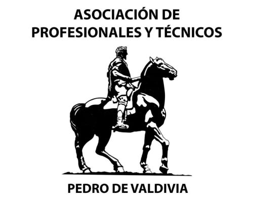 Con un gran sentido de unidad, se llevó a cabo la Primera Asamblea Ordinaria de la Asociación de Profesionales y Técnicos “Pedro de Valdivia”.