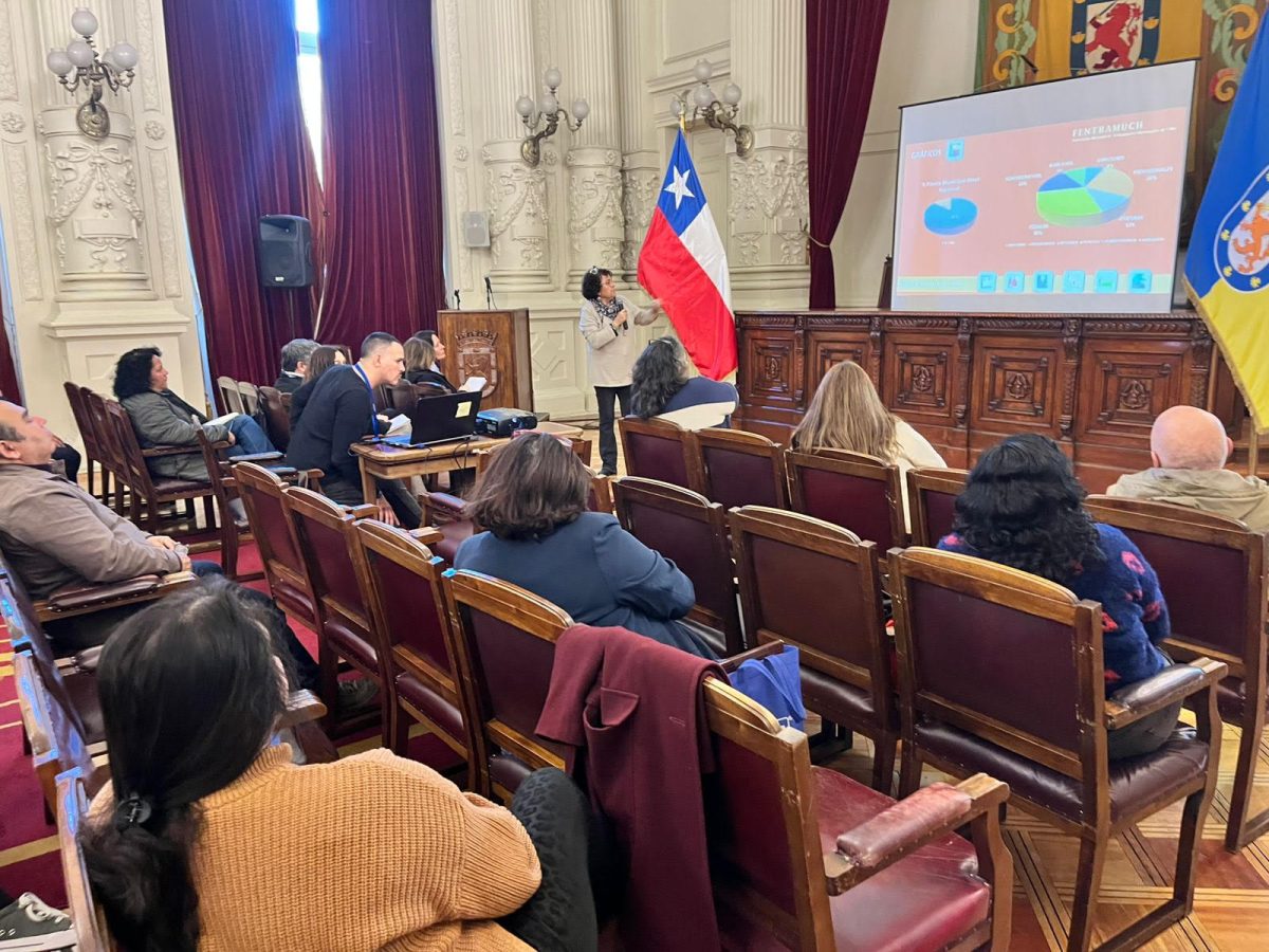 Balance y desafíos de la implementación de la ley 20.922 de Plantas Municipales