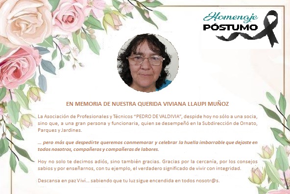 HOMENAJE-A-VIVIANA-LLAUPI